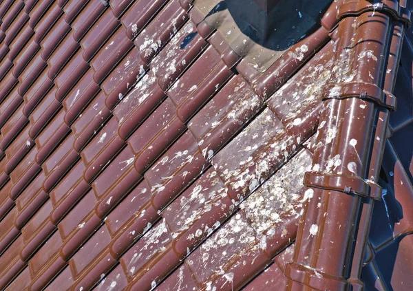 Protect What Matters with Expert Roofing in Phoenix