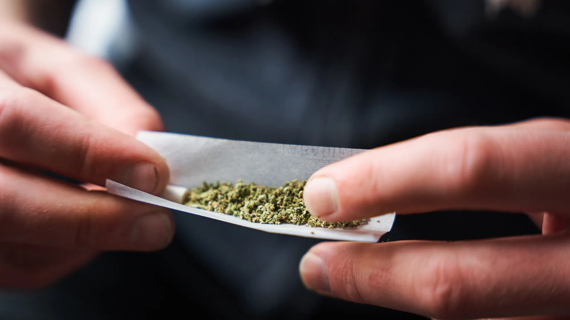 Find the strongest thca flower for Maximum Potency